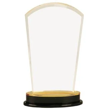 9 1/4" Arch Impress Gold Mirror Acrylic Award 1