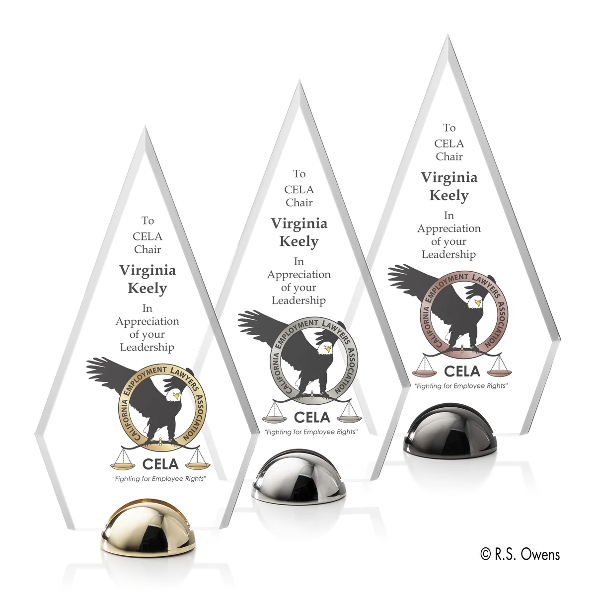 Apex Hemisphere VividPrint™ Award 1