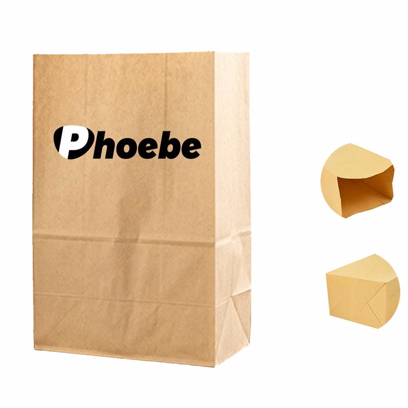 Kraft Brown Paper Bags