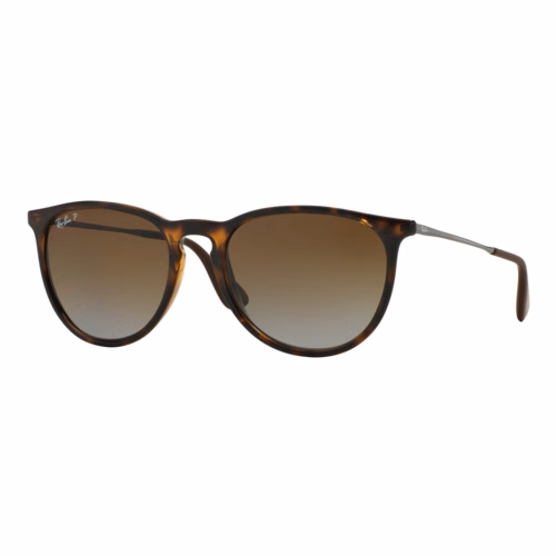 Ray-Ban Women's Polarized Erika Sunglasses