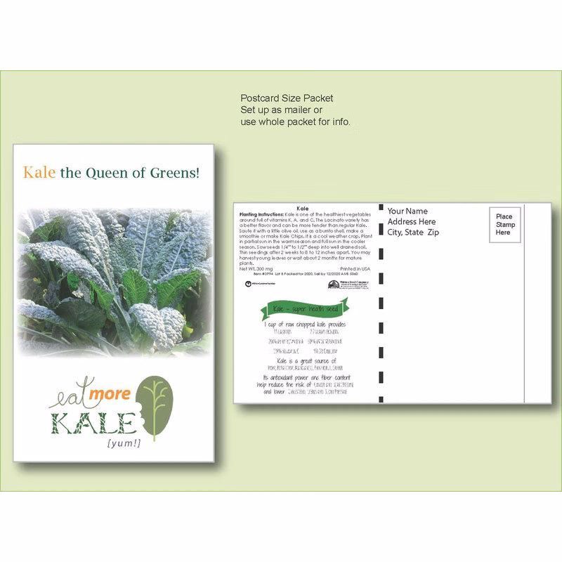 Kale Seed Packet - Postcard Mailer Size 4" x 6.5"