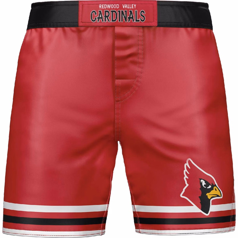Men's Knockout MMA Style Shorts