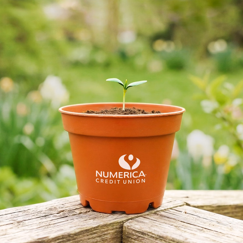 Terra Cotta Wee Planter Kit