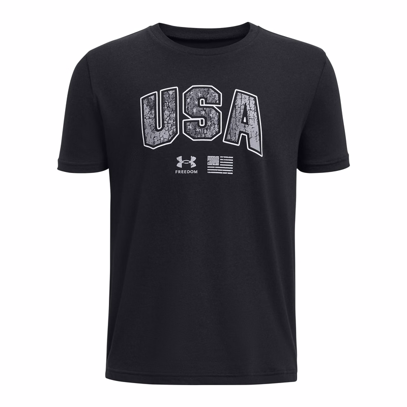 Boys' UA Freedom Seasonal Energy T-Shirt