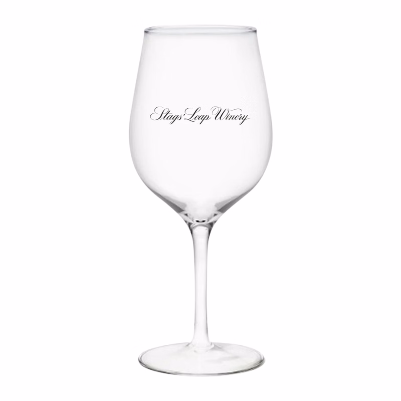 16oz. Acrylic Wine Glass