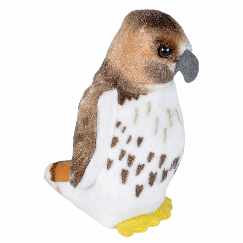 7" Audubon Red Tailed Hawk