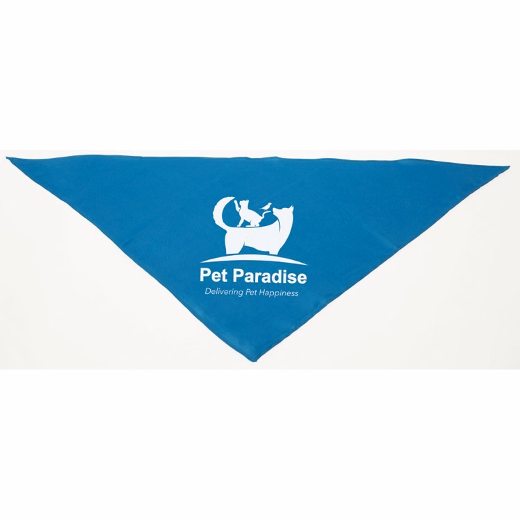 Personalized Large Turquoise/Teal Triangle Pet Bandana