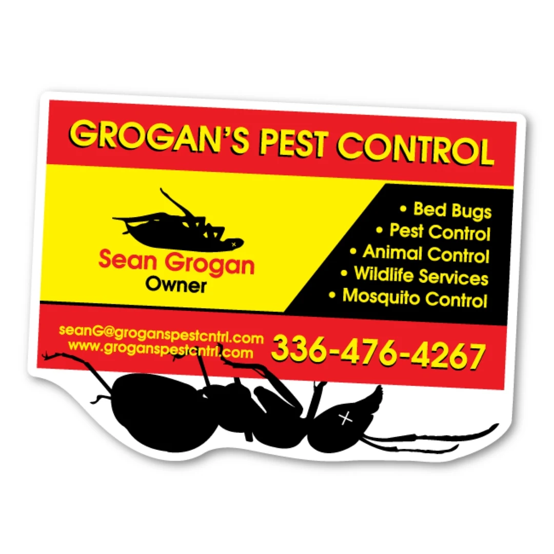Dead Ant Card Magnet - 3.72" x 2.75" - 30 mil - Outdoor Safe 1