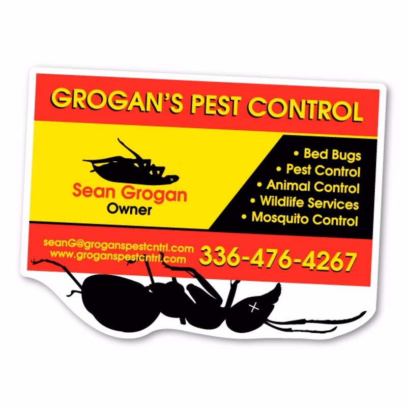Dead Ant Card Magnet - 3.72" x 2.75" - 30 mil - Outdoor Safe