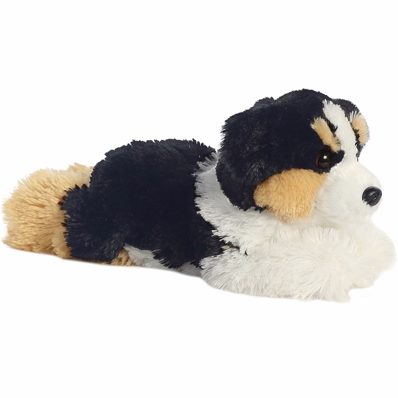 12" Auzzie dog