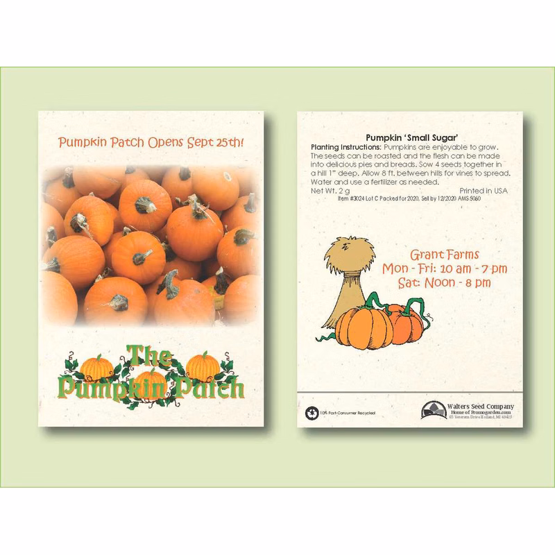 Pumpkin' Small Sugar' Seed Packet - Size 3.25" x 4.5"