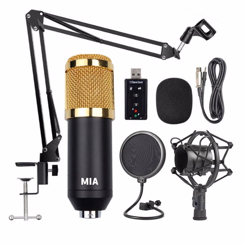 Microphone Set