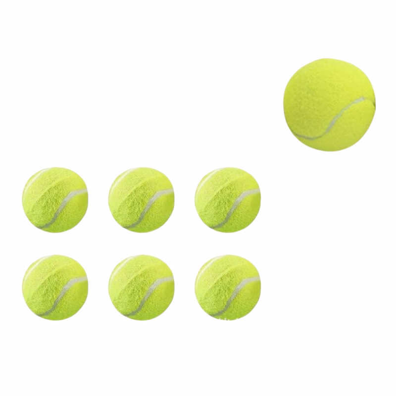Training Pet Tennis Ball
