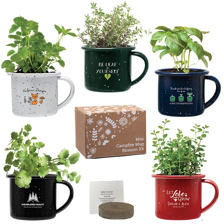 Mini Campfire Mug Blossom Kit 1
