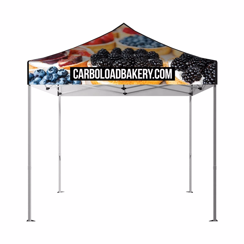 DisplaySplash 10' x 10' Tent Top & Frame