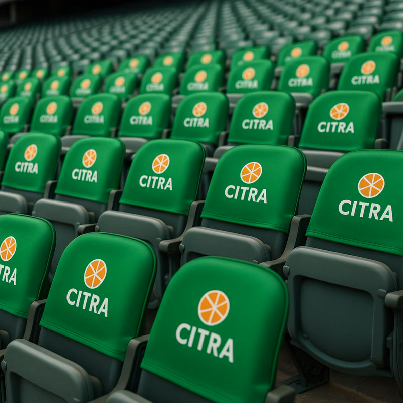 Stadium Seat Back Cover