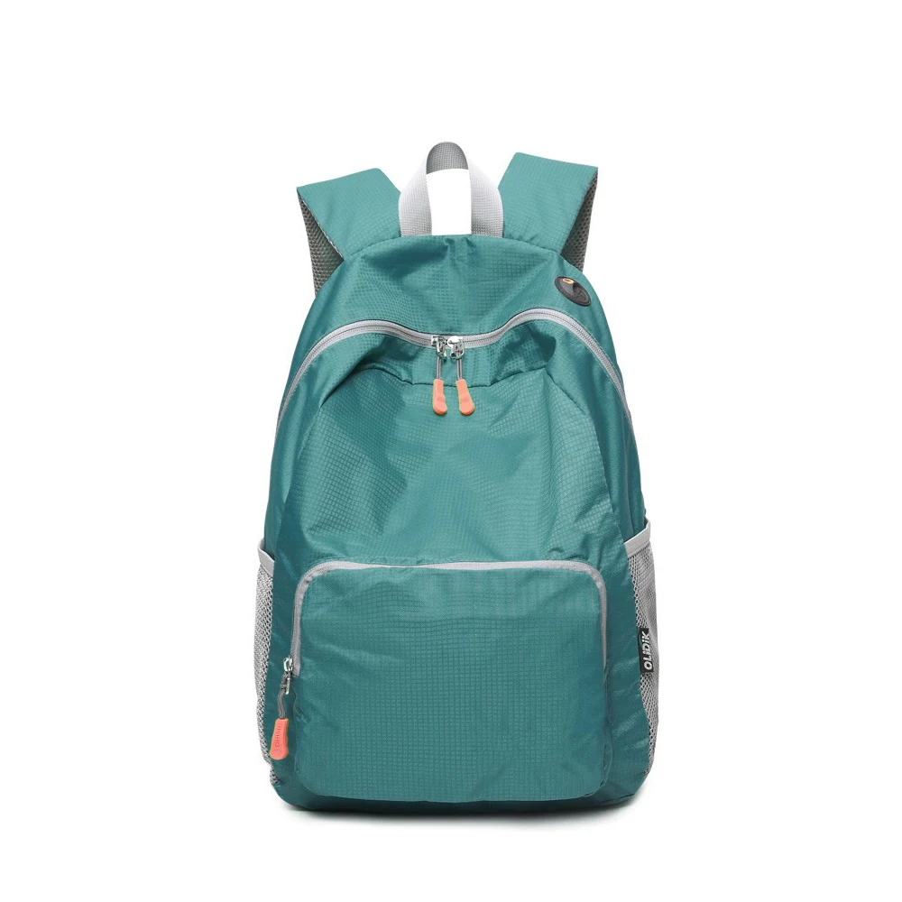 Large Capacity Foldable Storage Backpack 1