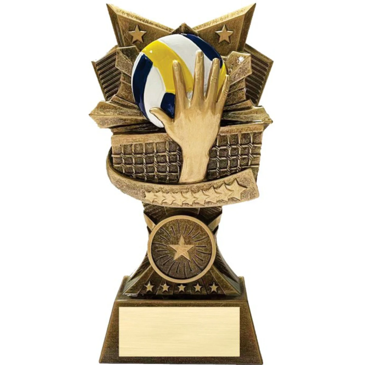 Volleyball 3D Design Resin Award 1