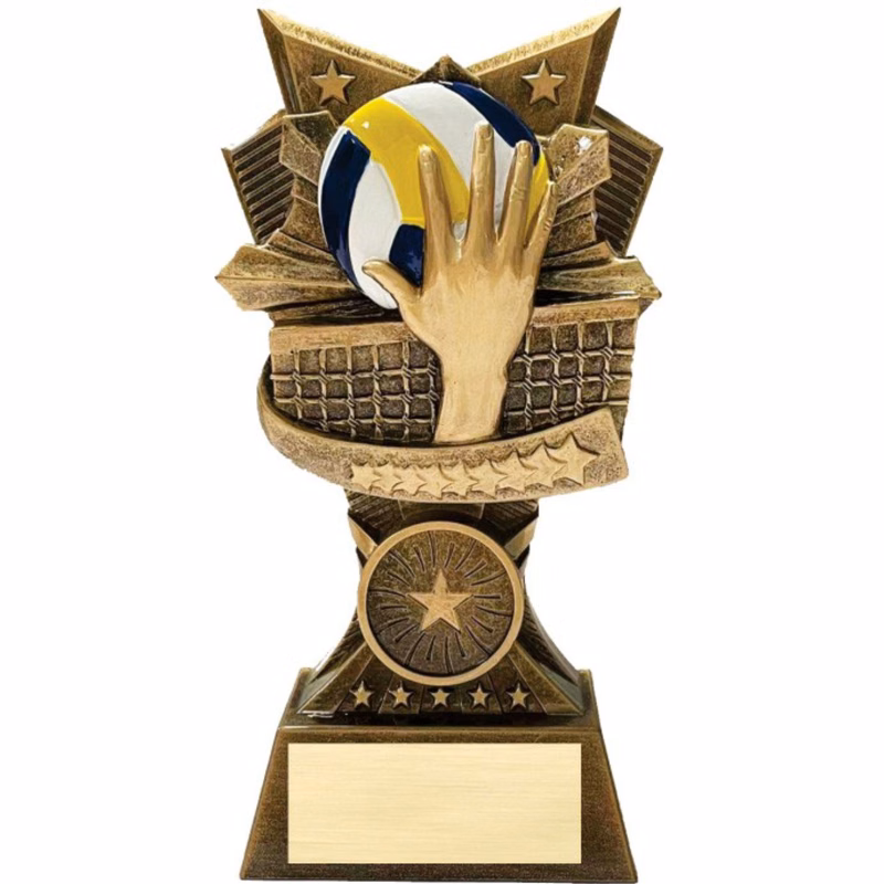 Volleyball 3D Design Resin Award