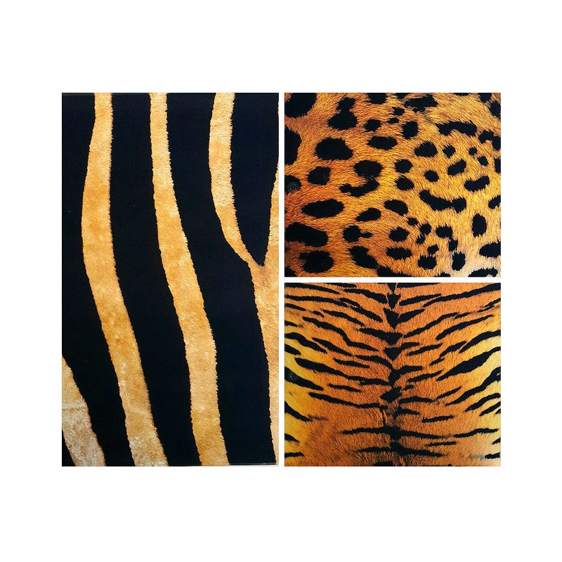2 Pocket Folders - 3 Animal Prints