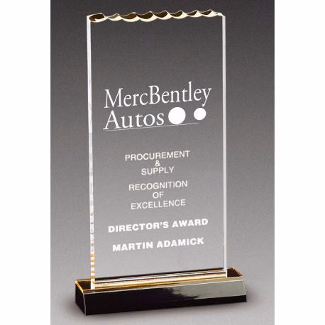 Ice Top Acrylic Award