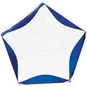 Clear/Blue Luminary Star Acrylic Award 1