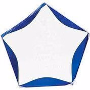 Clear/Blue Luminary Star Acrylic Award