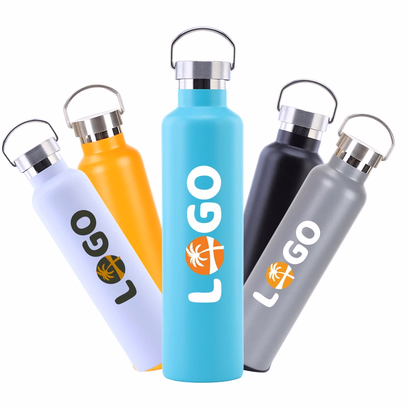 25 Oz. Double Wall Insulated Stainless Steel Canteen Water Bottle W/Handle