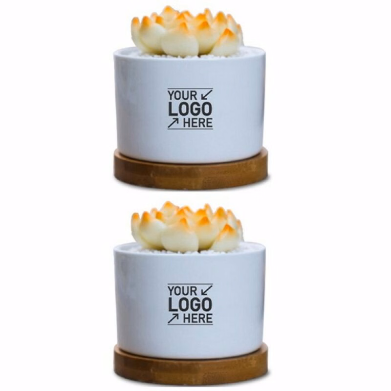 Cylindrical White Ceramic Planter Pots With Bamboo Tray