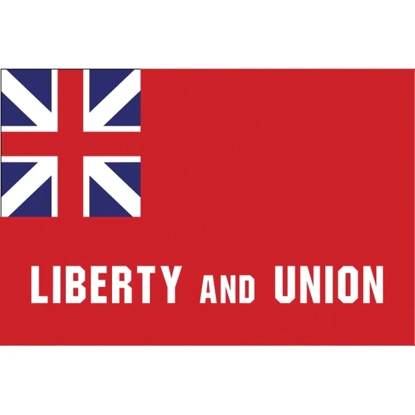 Special Historical Stick Flag - Taunton 1