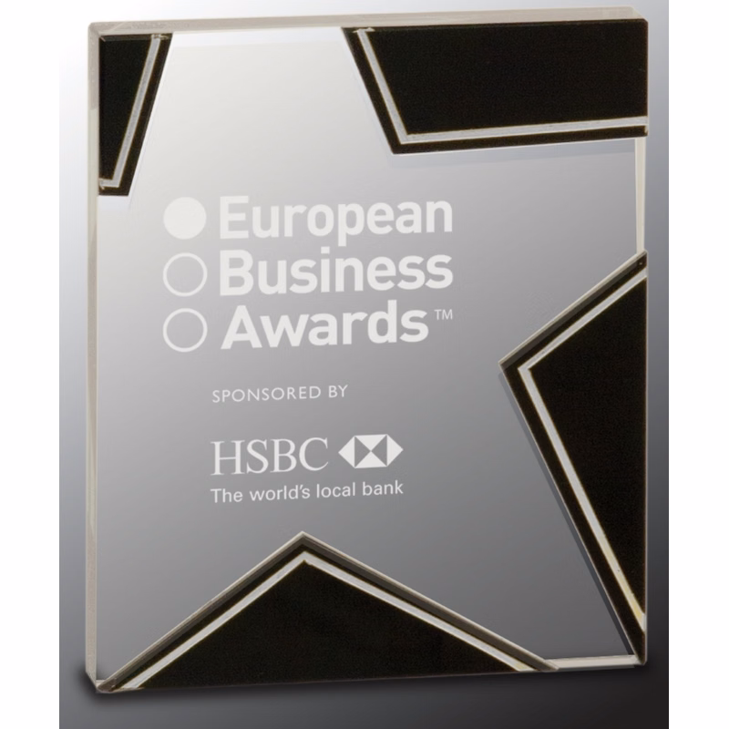 6 3/4" Silver/Black Glass Star Award