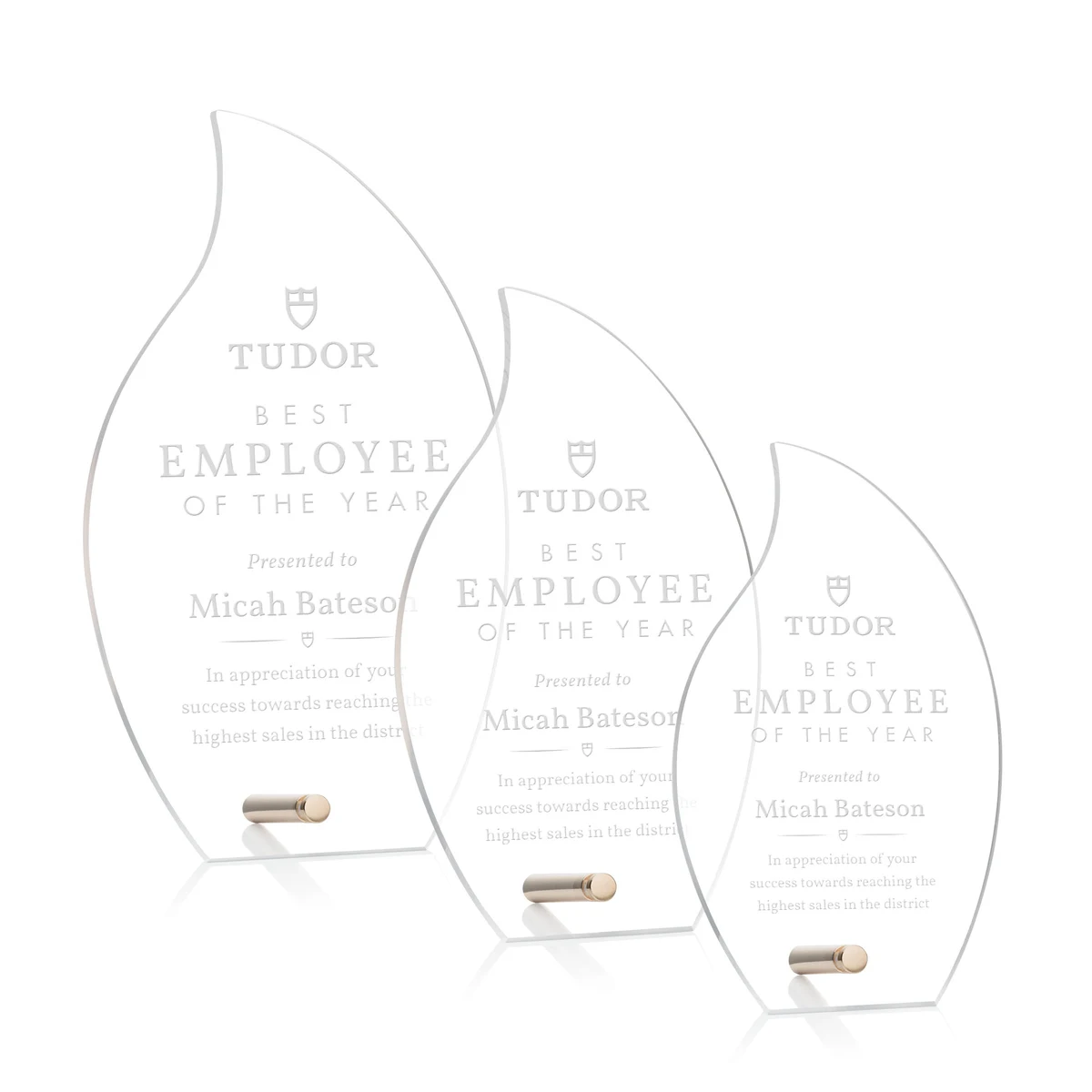 Polaris Flame Award - Gold 1