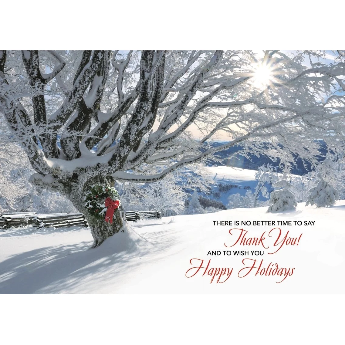 Striking Gratitude Holiday Cards 1