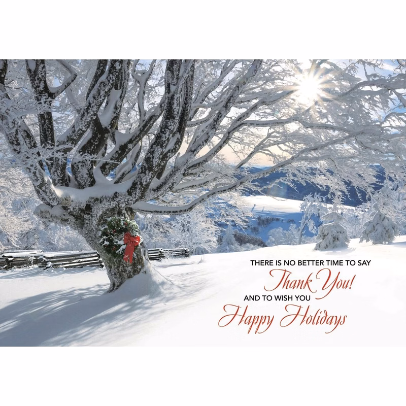 Striking Gratitude Holiday Cards