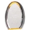 7" Oval Halo Acrylic Award 1