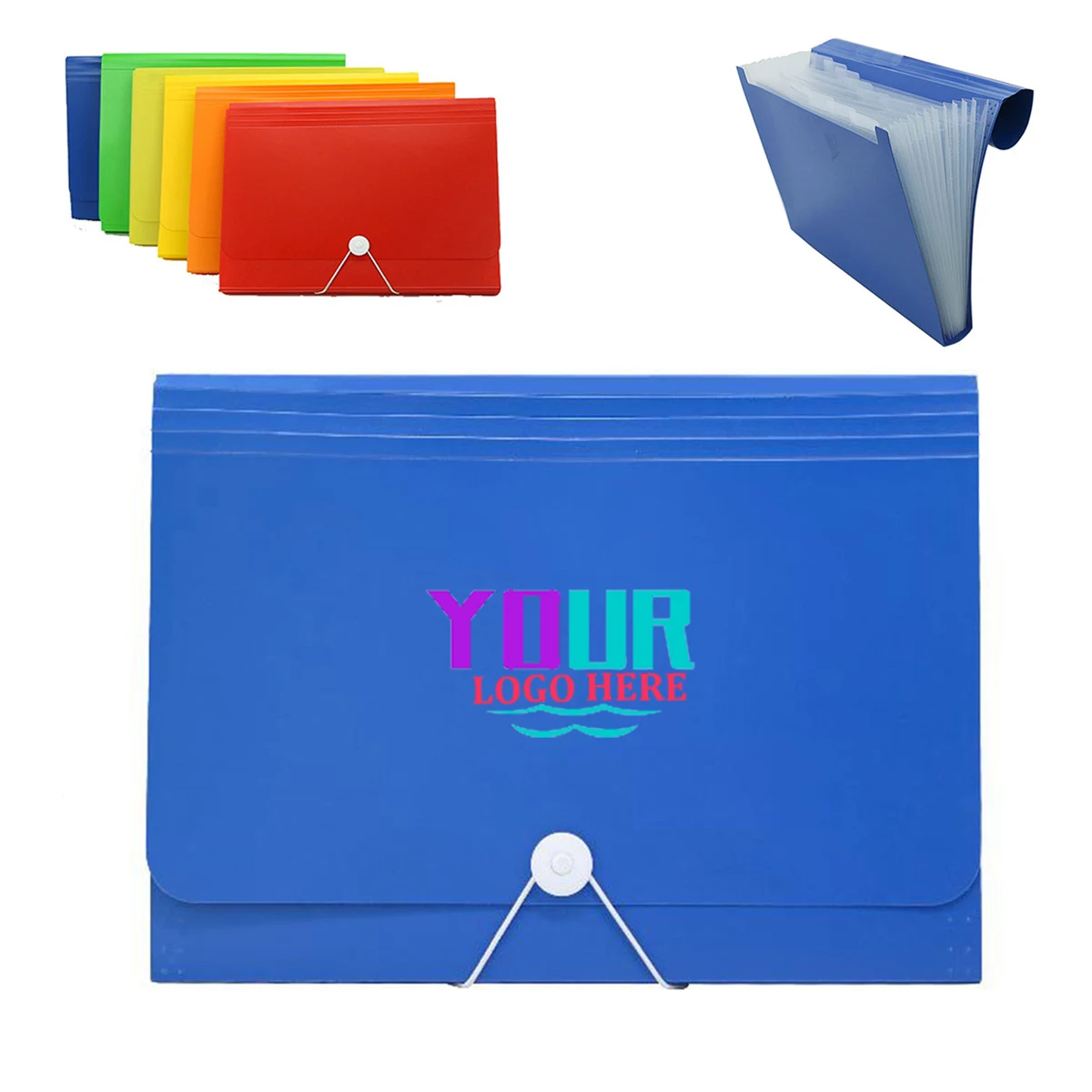 Accordian Organizer File Folder 1