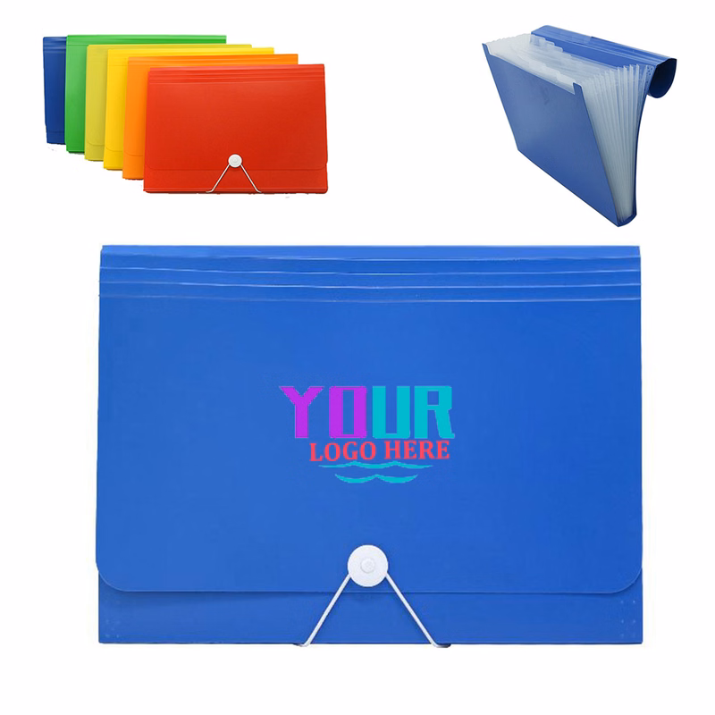 Accordian Organizer File Folder