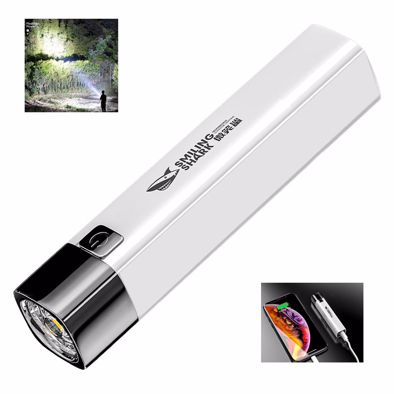 Flashlight Power Bank