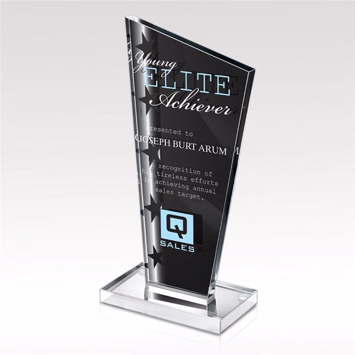 Ally Acrylic Award