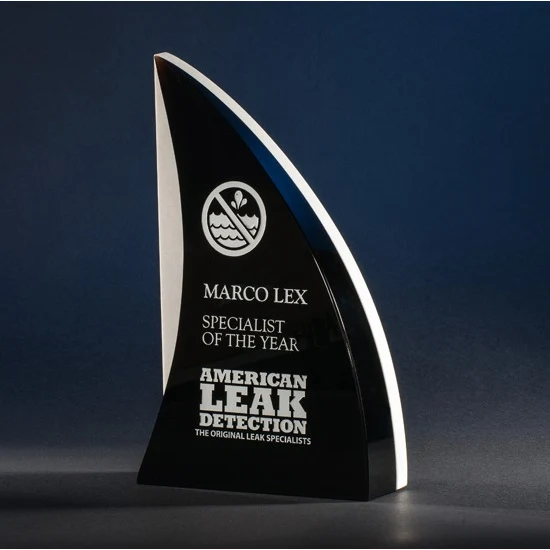 Contemporary Vistas Crystal Shark'sFin Award 1