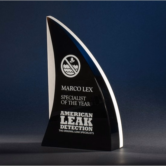 Contemporary Vistas Crystal Shark'sFin Award
