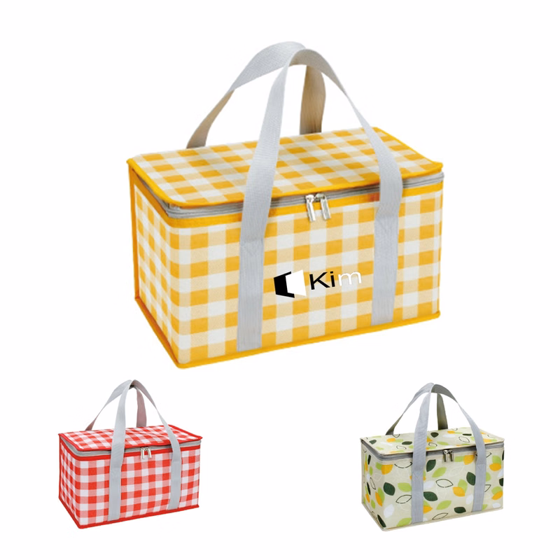 Insulated Folding Cooler Box Picnic Bag