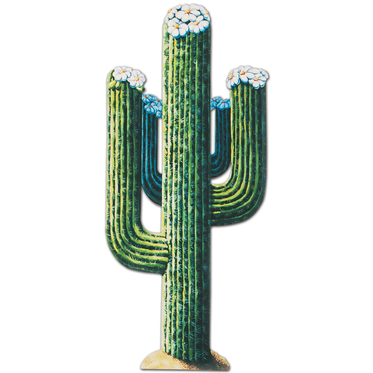 Jointed Cactus 1