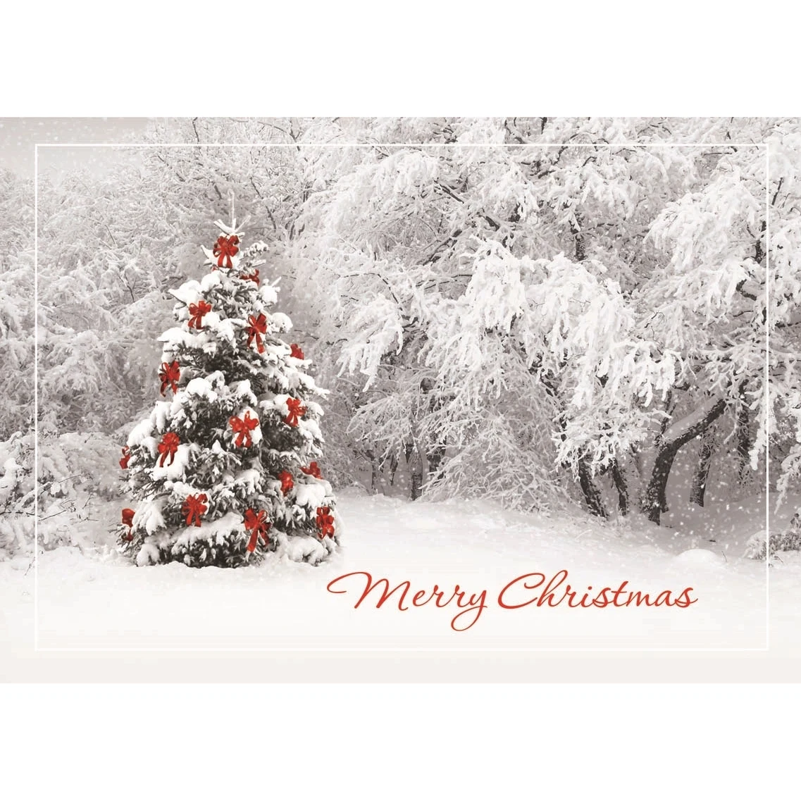 Secret Sighting Holiday Greeting Cards 1