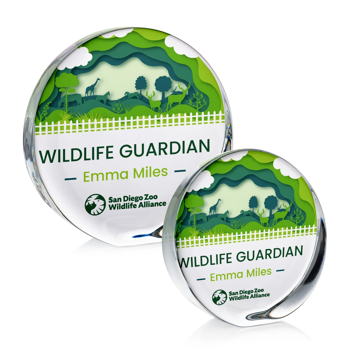 Standing Disk VividPrint™ Award 1