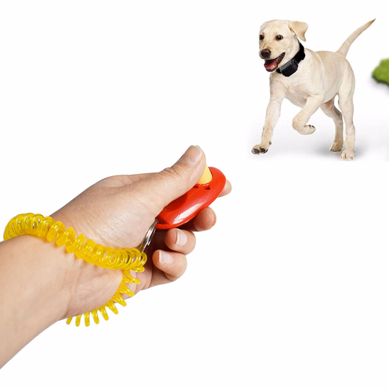 2 1/2 " Pet Training Clicker