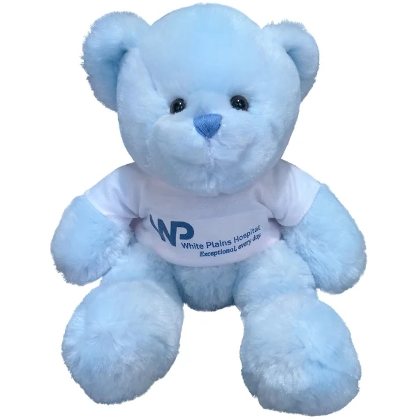 13" Classic Light Blue Bear 1