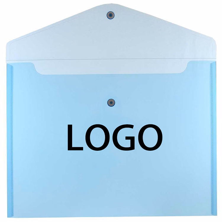 Plastic Clear Document Envelope