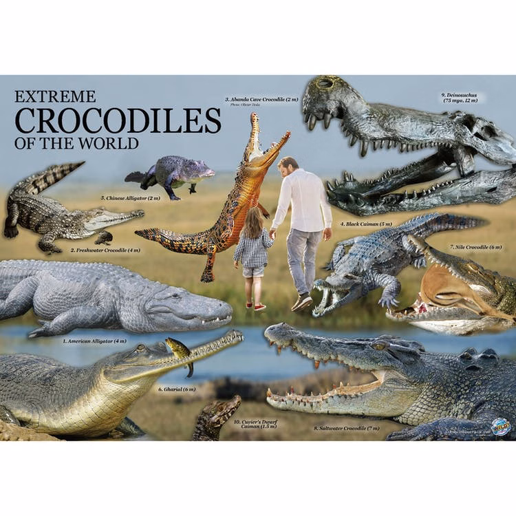 Wild Environmental Science Lab Kit - Extreme Crocodiles of the World
