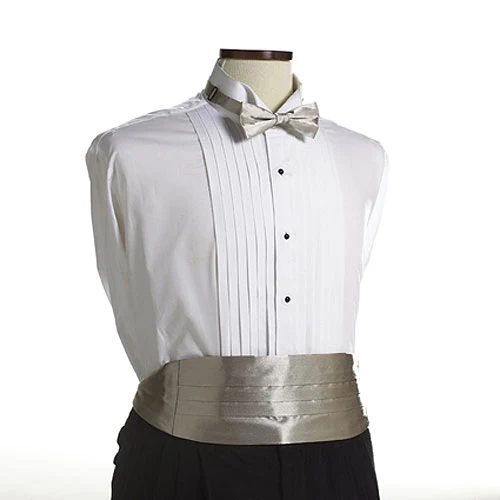 Champagne Beige Cummerbund 1